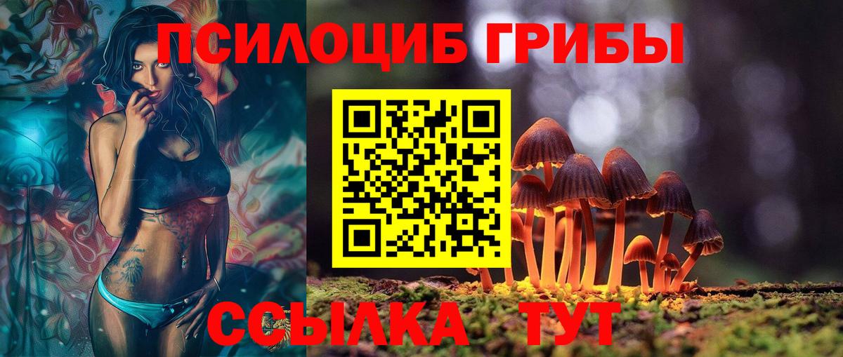 Псилоцибиновые грибы Psilocybine cubensis Алейск